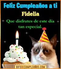 GIF Gato meme Feliz Cumpleaños Fidelia